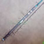 Xzoga blastino štap 1