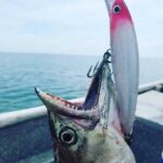 Rapala x-rap magnum 3