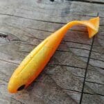 Adusta penta shad stomak