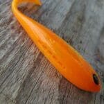 Adusta penta shad 3