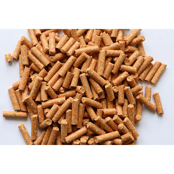 Xtra Baits pelete 6mm 1kg Školjka 2