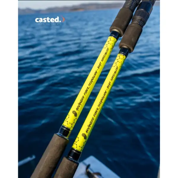 Casted Bito Profondo dvodjelni štap 274cm 180gr(8)