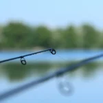 Casted Lenox Carp dvodjelni štap 390cm 3.5LB(11)