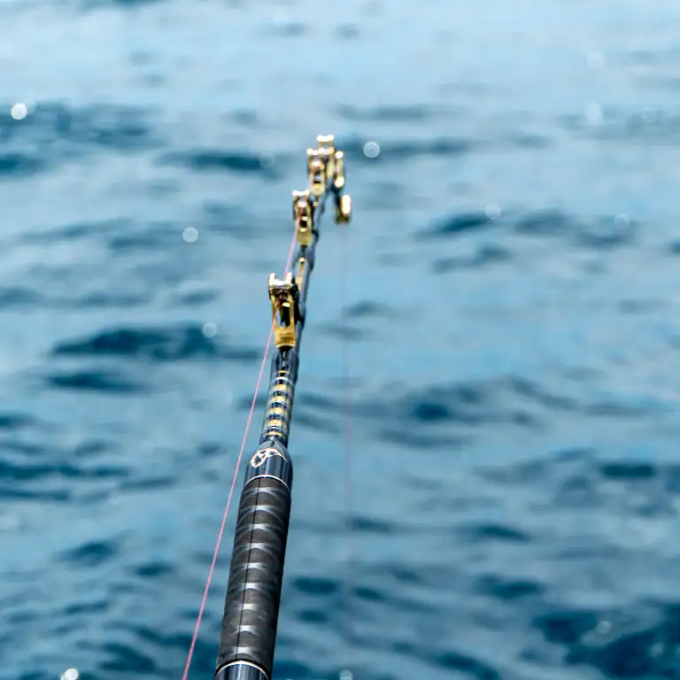 Casted Moana Stand Up Game Igfa Alu Bent Butt(12)